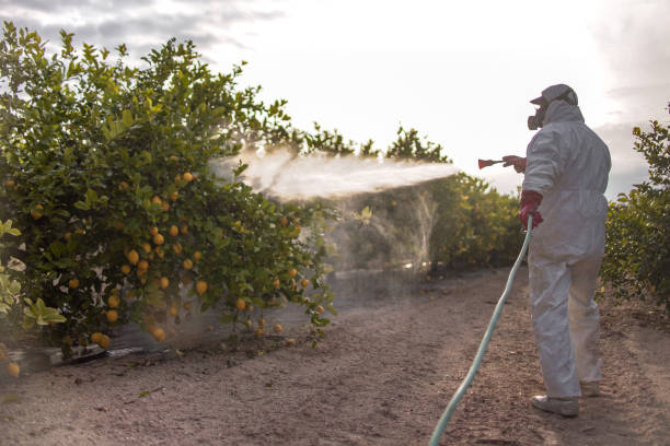 Best Cockroach Control Services  in Breaux Bridge, LA