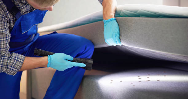 Best Residential Pest Control  in Breaux Bridge, LA