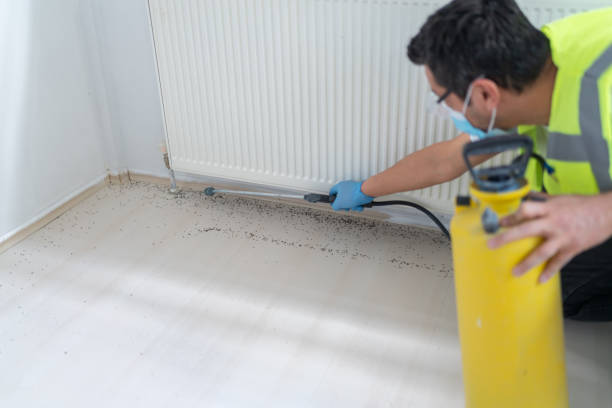 Professional Pest Control in Breaux Bridge, LA